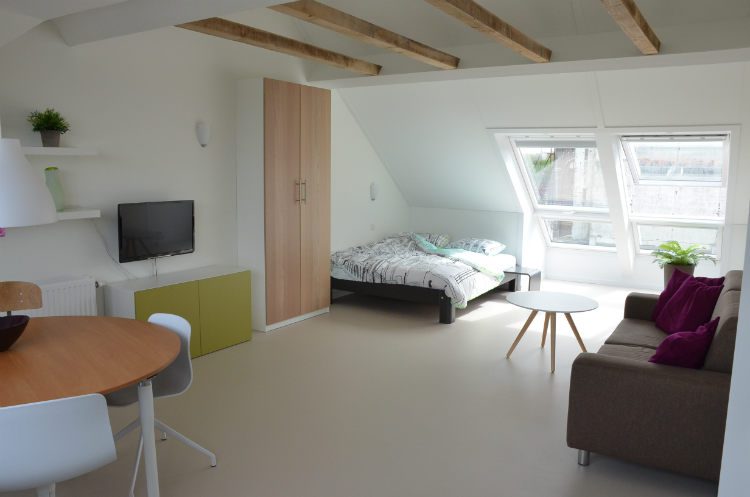 Verhoef-Dakramen-project-Studio Utrecht-250731