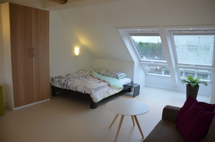 Verhoef-Dakramen-project-Studio Utrecht-567709