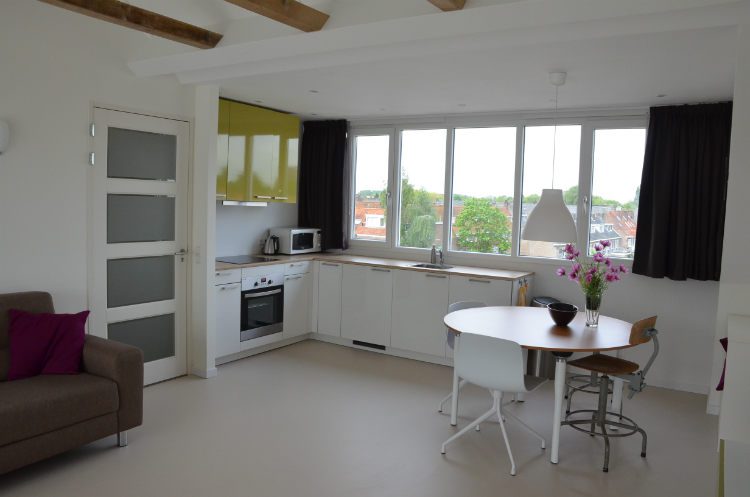 Verhoef-Dakramen-project-Studio Utrecht-720368